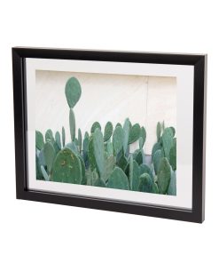 Document Picture Frame