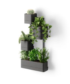 Cubiko Wall Planter